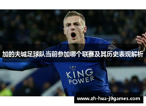 加的夫城足球队当前参加哪个联赛及其历史表现解析
