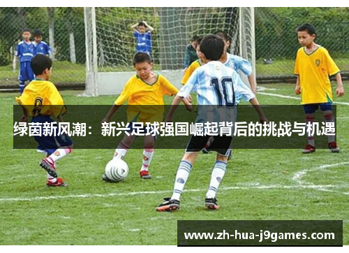 绿茵新风潮:新兴足球强国崛起背后的挑战与机遇 绿茵新风潮:新兴足球强国崛起背后的挑战与机遇