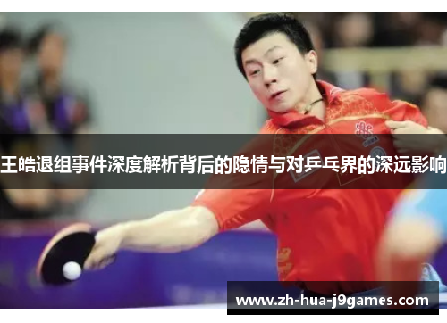 王皓退组事件深度解析背后的隐情与对乒乓界的深远影响 王皓退组事件深度解析背后的隐情与对乒乓界的深远影响